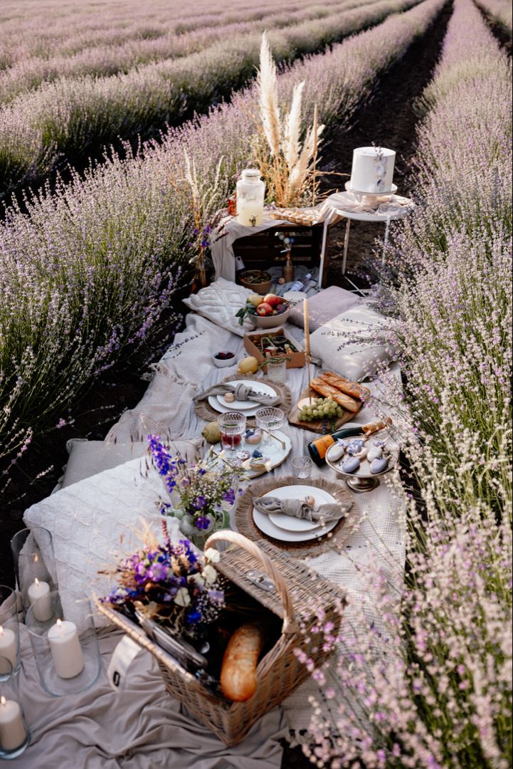 Apéritif dans un Champs de Lavande, votre week-end de Mariage