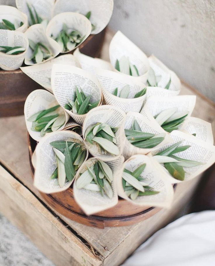 Cérémonie de Mariage Laïque, Pétales Feuilles d'Oliver